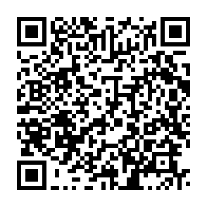 Imagen qrcode